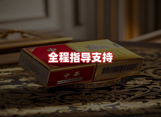 专业团队